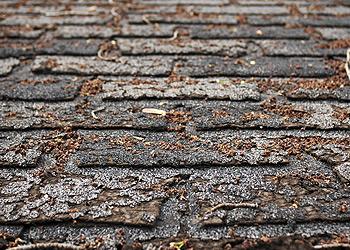 Integrity Roofing Images
